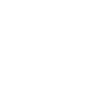 Criminal Law Icon